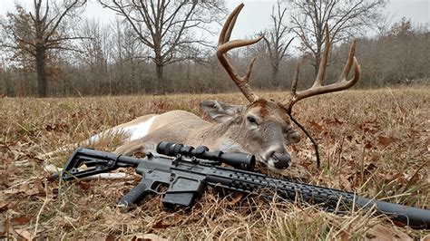 Its lightweight and accurate, and with its semi-automatic action and magazine capacity of 30 rounds or more, its very easy to make quick follow-up shots on a hog or quickly clean out a pack of porkers. . Can you hunt with an ar 15 in south carolina